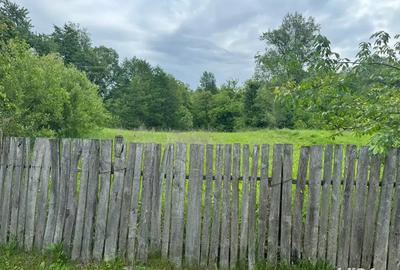 Teren de 700 mp, în Bălțățeni - 4