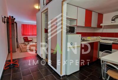 Ap 1 camera+nisa de dormit | TERASĂ |  Hotel Premier/Grigorescu - 10