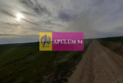 Teren de 369 mp, în 1 Decembrie - 6