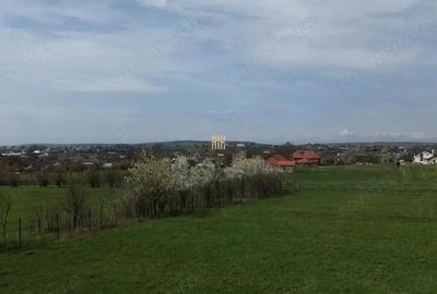 Teren de 5800 mp, în Mitocași - 3