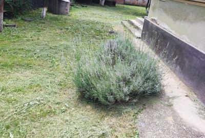 Casă cu 3 camere în Central - 2