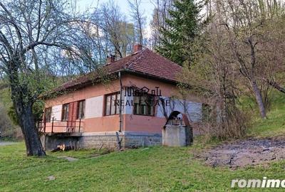 Teren de 69237 mp, în Criș - 9