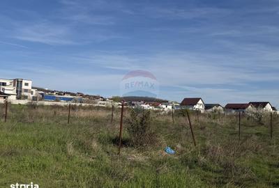 Teren de 4862 mp, în Bordei - 2