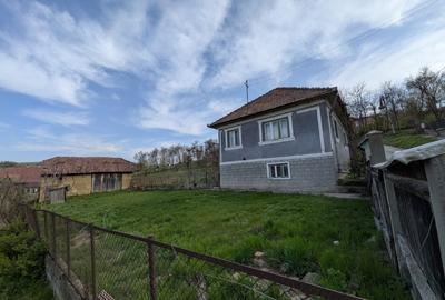 Teren Construcții intravilan de 1800 mp, în Sic - 2