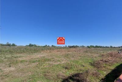 Oportunitate de investitie! Teren pentru dezvoltare rezidentiala in Bujac! - 1