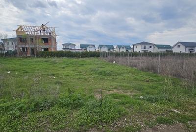 Magurele, Varteju - 5