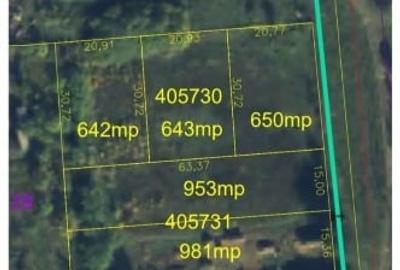 Vand Teren Intravilan In Tormac,Jud Timis - 1