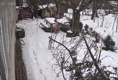 Casă cu Teren 1300 Mp în Gogoșari - 4