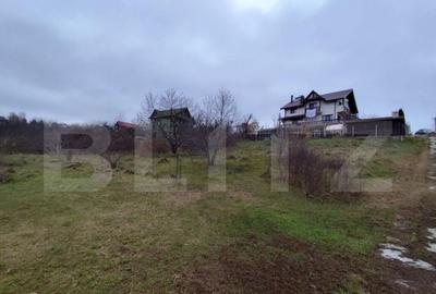 Teren intravilan 2618 mp IASI- Strugurilor - 7