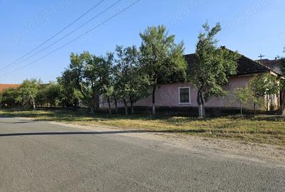 Vand teren + casa si anexa in Vladimirescu, jud. Arad - 1