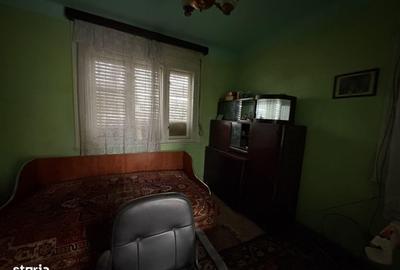 Casă cu 4 camere cu Teren 3767 Mp în Borș - 2