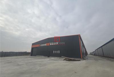 OCAZIE..BLACK FRIDAY... depozit/hala/spatiu industrial Pante - 6