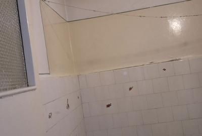 Apartament cu 2 camere semidecomandat în Grivița - 3