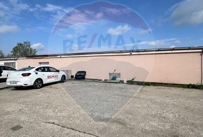 Teren intravilan de vanzare cu o suprafata de 6823mp Avicola Carcea - 2