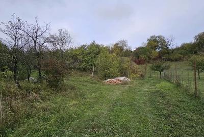 0 % comision, Lot format din 3 parcele de teren, zona Antonio Gaudi - 11