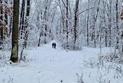 Casă cu 3 camere cu Teren 2000 Mp în Central - 8