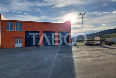 Hala industriala cu teren de 12000 mp Bradu Sibiu - 10