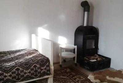 Vand cabana sat Muntele Baisorii - 3