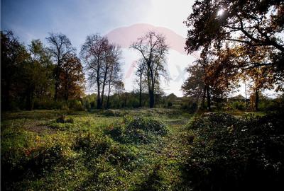 Domeniu Baronial de vanzare in localitatea CIL , Judet Arad - 4