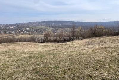 Teren Construcții intravilan de 11300 mp, în Bârnova - 3