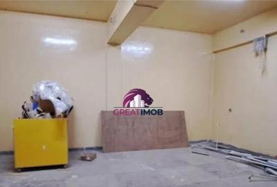 Hala de inchiriat Drumul intre Tarlale - 5