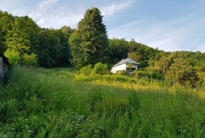 Teren 7000mp Pucioasa - Zona Pitoreasca - 17