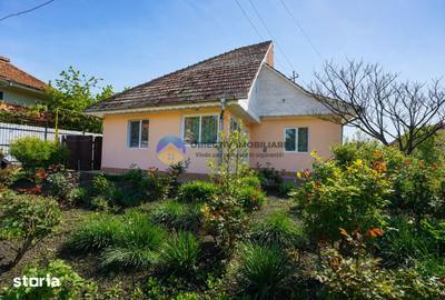 Casă cu 3 camere cu Teren 851 Mp în Alexandru cel Bun - 15