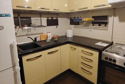 Apartament cu 3 camere, Lidl- Tudor Neculai - 9