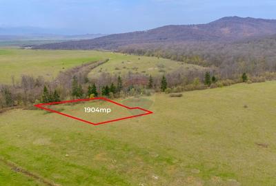 Teren Crizbav 1904 mp/PUZ/Langa Padure/Intravilan - 2