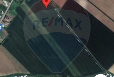 Teren Draganeasca-Ulmi / DJ 404 Jud Giurgiu - 1