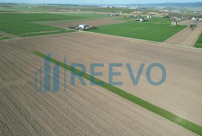 Teren de vanzare, Com. Nicolae Balcescu, Jud. Bacau - 5