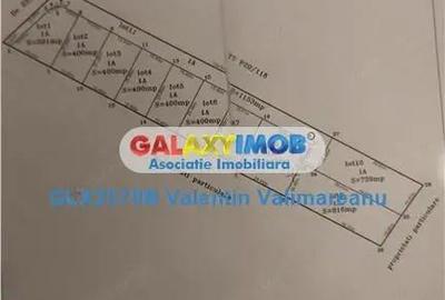 Teren Magurele intravilan VI 158 - 1