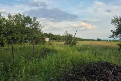 Casă cu 2 camere cu Teren 3000 Mp în Bârgău - 1