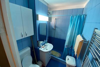 Apartament cu 3 camere decomandat în Camil Ressu - 12