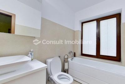 Casa de inchiriat | Andrei Muresanu - 19