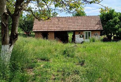 Casă cu 3 camere în Jabenița - 8