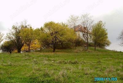 Casă în Lăpușata - 1