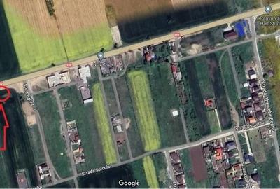 TEREN INTRAVILAN LAZU| 655MP  | 2 LOTURI IDENTICE DISPONIBILE| - 5