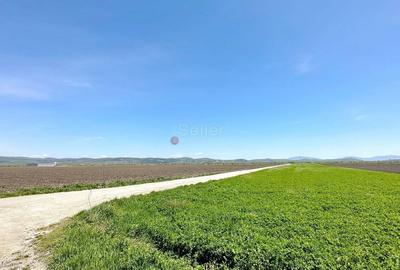 Teren Industrial - 9