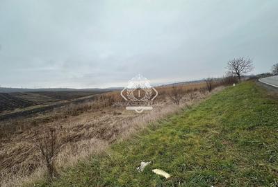 Teren Construcții intravilan de 13780 mp, în Apahida - 3