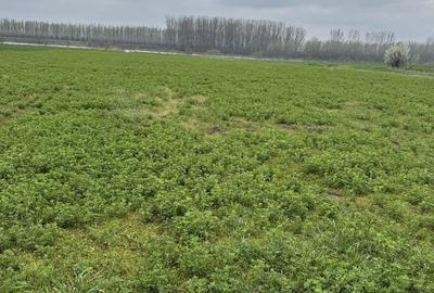 Spațiu comercial, în Dichiseni - 3