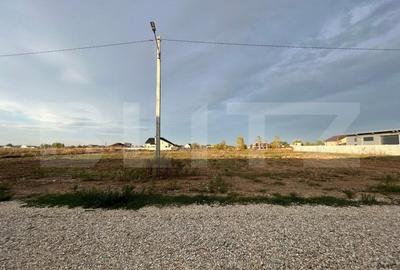 Hale noi pe parter sau P + 1, 1.755 mp utili, teren 4.000 mp, zona Ghercesti - 5