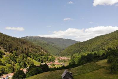 Casă cu 4 camere în Râu Sadului - 2