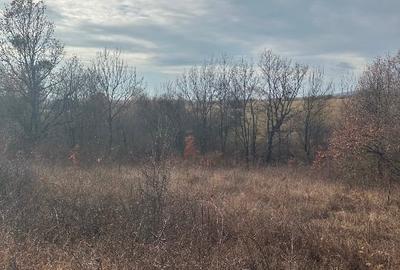 Super Ofertă! Teren Intravilan+Extravilan Gorj - 5