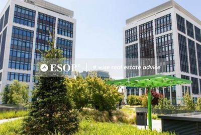 Spațiu comercial, de 800 mp, în Grozăvești