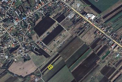 Terenuri Baldana / spre Targoviste - 2