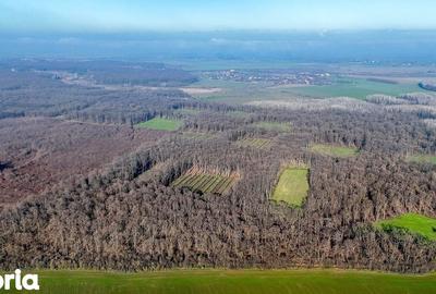 Teren de 16900 mp, în Grădiștea - 9