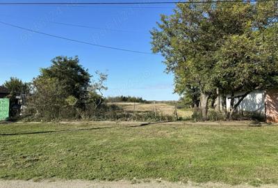 Teren de 2300 mp, în Exterior Vest - 6