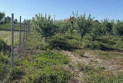 Casă cu 2 camere cu Teren 733 Mp în Central