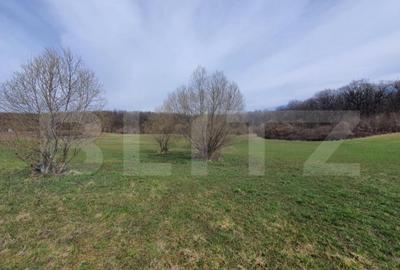 Teren de vanzare extravilan, 1ha, drumul Sigmirului - 5